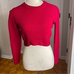 Red Aritzia sweater